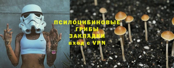 а пвп мука Елабуга