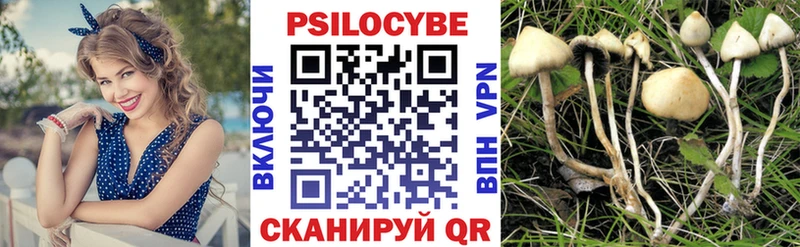 Псилоцибиновые грибы мицелий  что такое   Каменногорск 