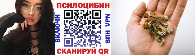 Галлюциногенные грибы прущие грибы Каменногорск